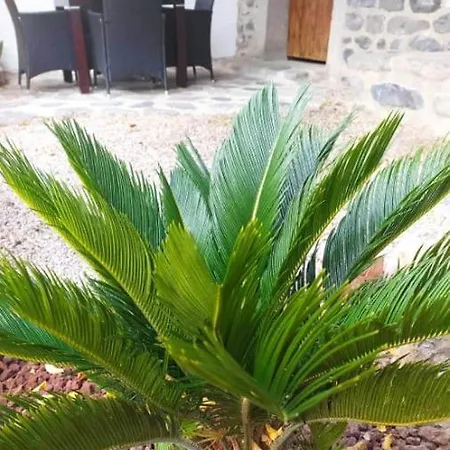 Le Cocon Ardechois * Saint-Martin-le-Supérieur