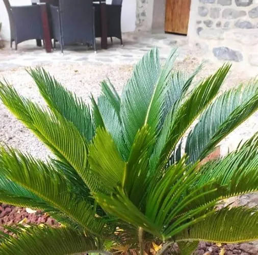 Le Cocon Ardechois * Saint-Martin-le-Superieur